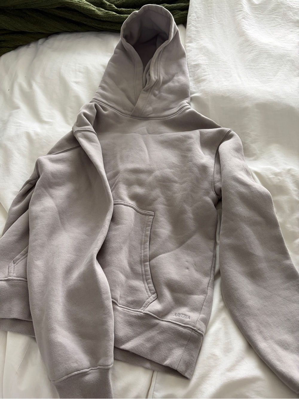 Aritzia Perfect Hoodie Neutral Gray Hooded Sweatshirt